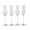CASA Copas De Cóctel|After Dinner Copas De Grappa Juego De 4 Transparente