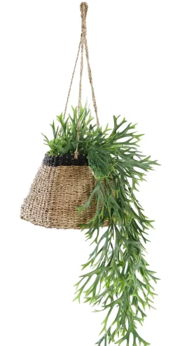 CASA Colgadores Para Plantas|Baku Macetero Colgante Negro, Natural