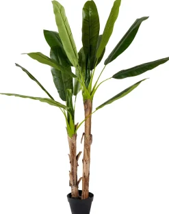 CASA Plantas Artificiales|Banana Platanera Verde