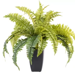CASA Plantas Artificiales|Boston Planta Helecho Verde