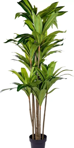 CASA Plantas Artificiales|Brazi Planta Verde