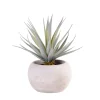 CASA Plantas Artificiales|Cement Planta Crasa Art En Tarro Gris