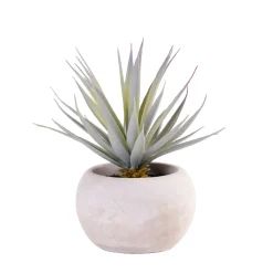 CASA Plantas Artificiales|Cement Planta Crasa Art En Tarro Gris