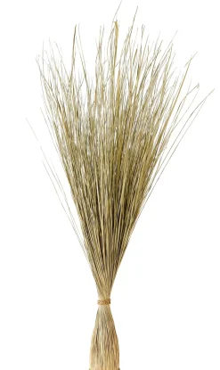 CASA Plantas Artificiales|Cogon Haz De Hierba Natural