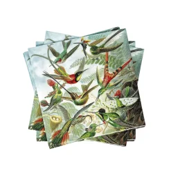CASA Servilletas|Colibri Paquete De 20 Servilletas Multicolor