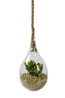 CASA Colgadores Para Plantas|Drop Gota De Vidrio Transparente
