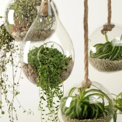 CASA Colgadores Para Plantas|Drop Gota De Vidrio Transparente