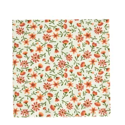 CASA Servilletas|Irma Paquete De 20 Servilletas Multicolor