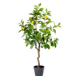 CASA Plantas Artificiales|Lemon Limonero Verde