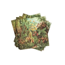 CASA Servilletas|Moss Paquete De 20 Servilletas Multicolor