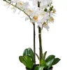 CASA Plantas Artificiales|Orchid Orquidea En Maceta Blanco