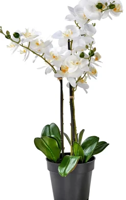 CASA Plantas Artificiales|Orchid Orquidea En Maceta Blanco