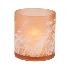 CASA Fotoforos|Pampas Fotoforo Naranja