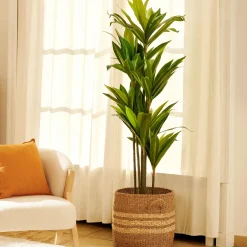 CASA Cestas De Almacenaje|Rayas Cesta M Natural