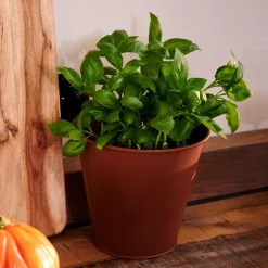 CASA Macetas|Rusty Macetero Marron