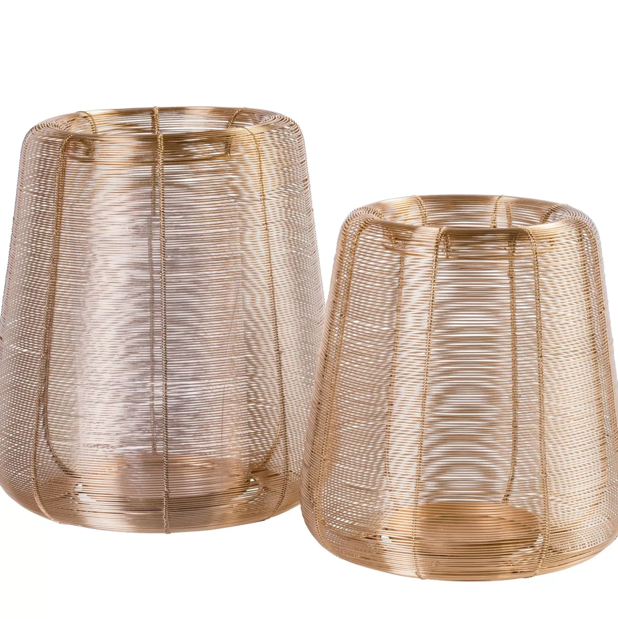 CASA Farolillos|Stellar Farolillo Dorado