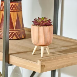 CASA Plantas Artificiales|Stripe Planta Crasa Art En Tarro Multicolor