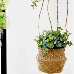 CASA Plantas Artificiales|Terra Planta En Maceta Blanco, Verde