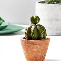 CASA Macetas|Tierra Macetero Terracota