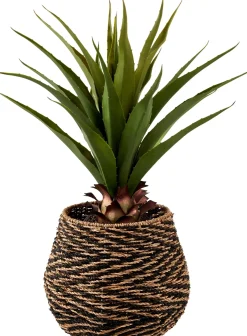 CASA Plantas Artificiales|Vera Planta Aloe Vera Verde