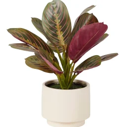 CASA Plantas Artificiales|Zebrina Planta Artificial